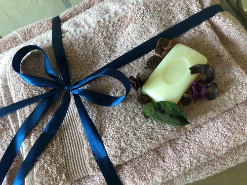 Bed & Breakfast Podere Il Sasso