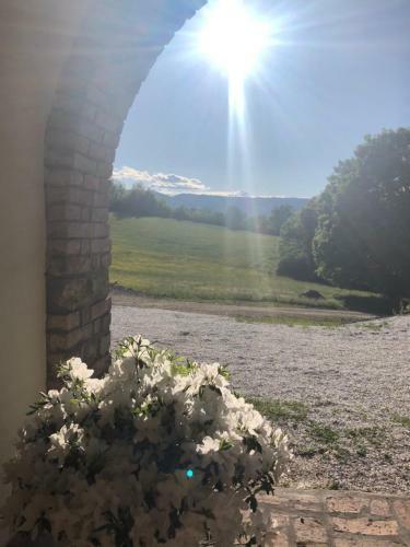Bed & Breakfast Podere Il Sasso