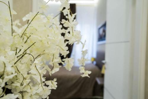 B&B Conte Cavour