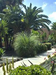 Hotel Lobos Bahia Club