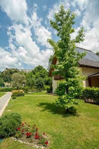 Apartamento Case Vacanza Orchidea