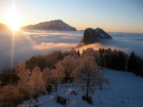 Hotel Rifugio Soldanella