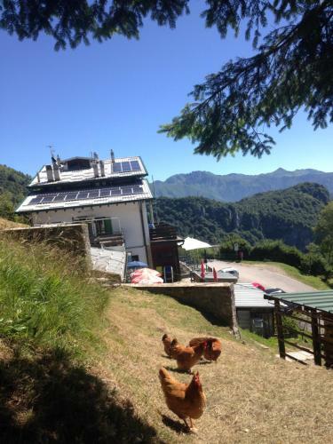 Hotel Rifugio Soldanella