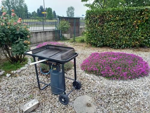 Bed & Breakfast Cjase Paola