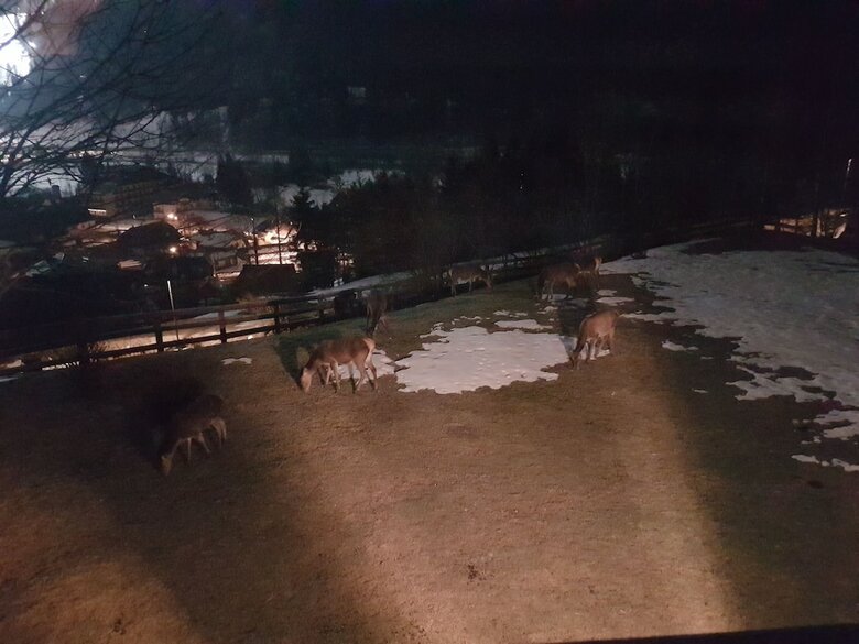 La Lince Lodge