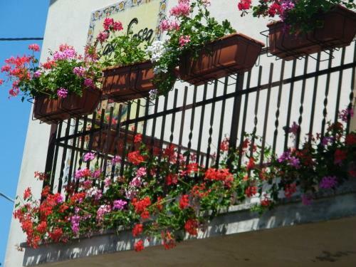 B&B Casa Losea