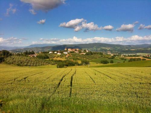 B&B Casa Losea