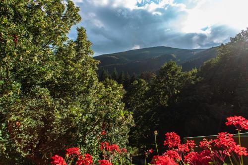 Hotel Granduca Campigna