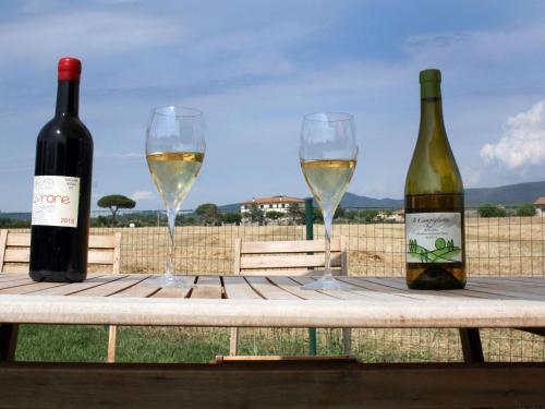 Lovely Holiday Home In Bibbona With Barbecue