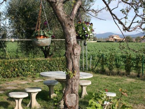 Lovely Holiday Home In Bibbona With Barbecue