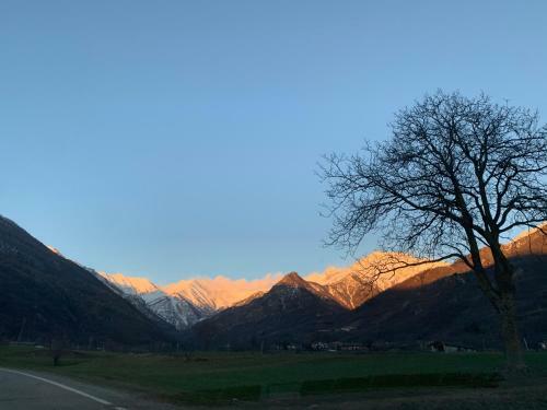 Hostal L?alpina Affittacamere