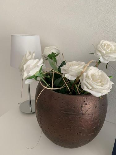 Apartamento Museo Roemer Living