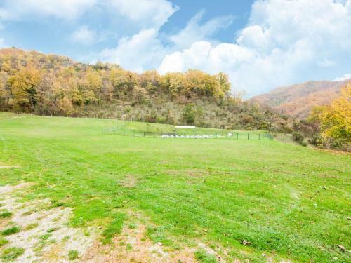 Fascinating Apartment In Borgo Pace With Barbecue