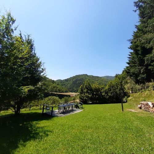 Il Bosco Di Campo Marzano Garden Apartment