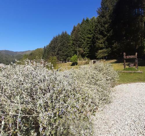 Il Bosco Di Campo Marzano Garden Apartment