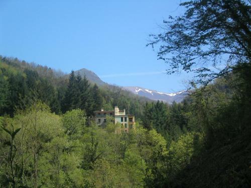 Il Bosco Di Campo Marzano Garden Apartment