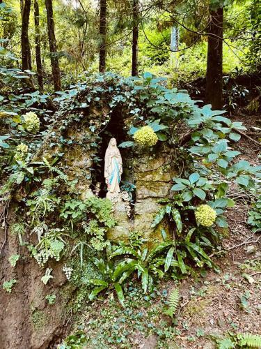 Il Bosco Di Campo Marzano Garden Apartment