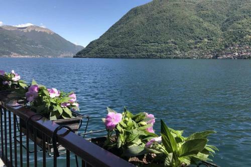La Torre Apartment Brienno