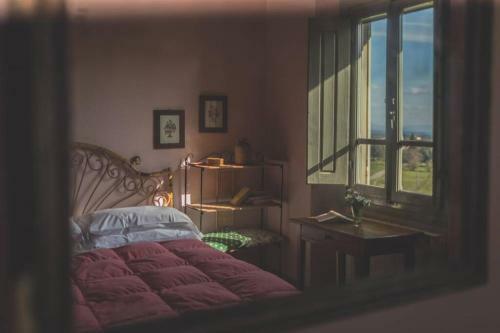 Villa Petrolo: B�ggina Country House