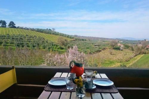 Villa Petrolo: B�ggina Country House