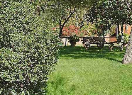 Apartamento Il Leccio