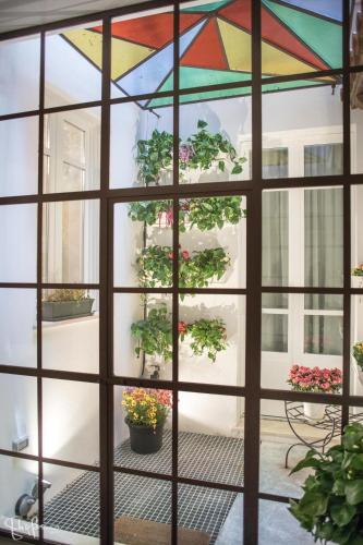 Hostal Arcipelago 37