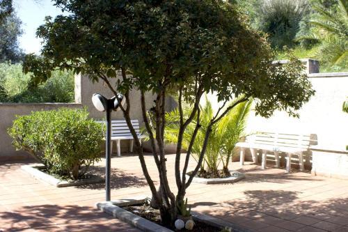 Bed & Breakfast Eden Di Segesta
