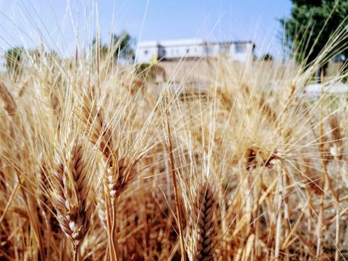 Agroturismo Agriturismo Le 5 Pietre