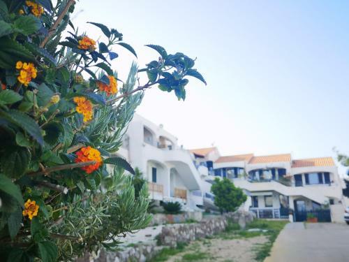 Apartamento Residence Fior Di Sulcis
