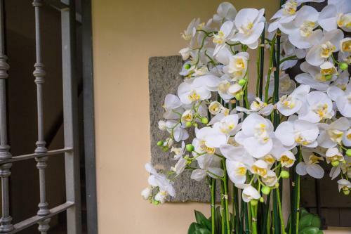 Bed & Breakfast Il Bas�n