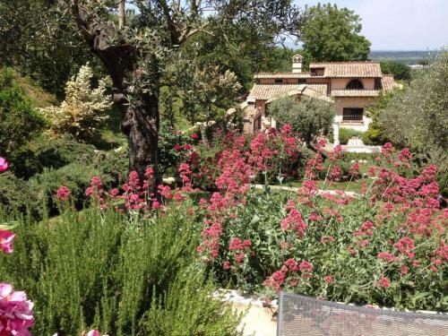 Villa Olivella