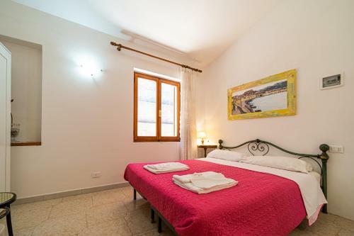 Villa Ray