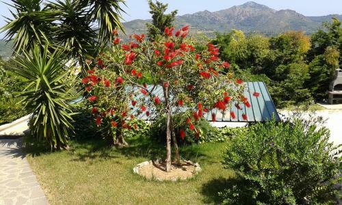 Apartment In Villa 24 Persons With Large Garden Stella