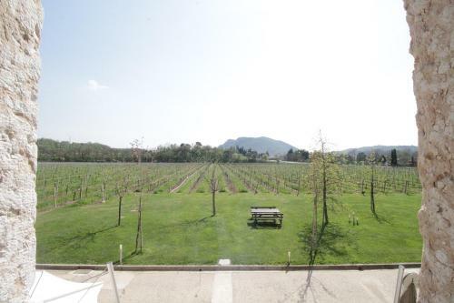 Agroturismo Agriturismo Corte Patrizia