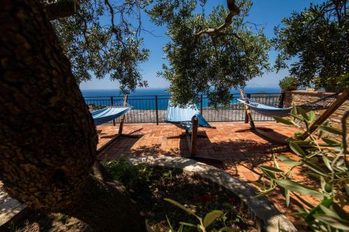 Bed & Breakfast Madonna Della Scala