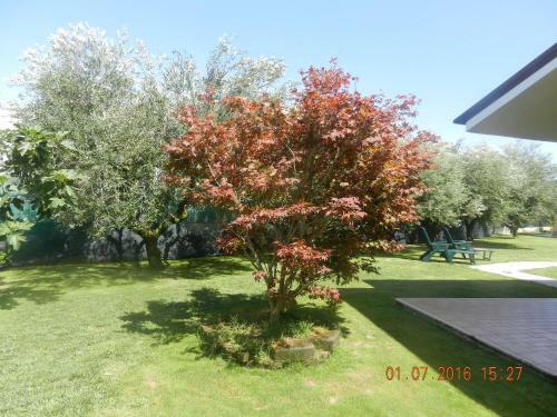 Bed & Breakfast Le Terre Di Bac