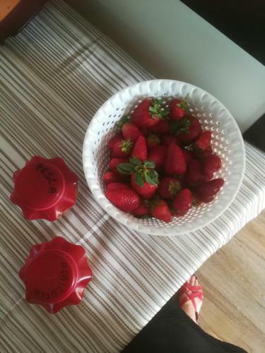 Bed & Breakfast Le Terre Di Bac
