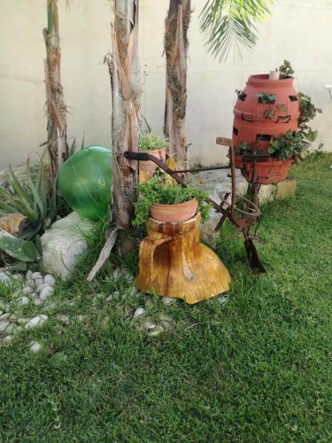 Bed & Breakfast Aira Te Finu