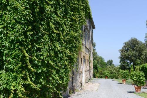 Colle Di Compito Villa Sleeps 12 Pool Air Con Wifi