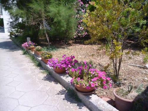Bed & Breakfast La Zavirna