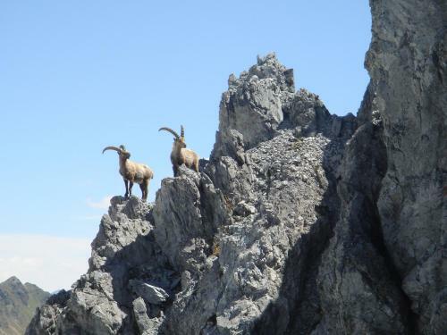 Aparthotel St. Stefan