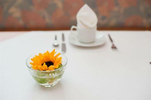Aparthotel Burgus