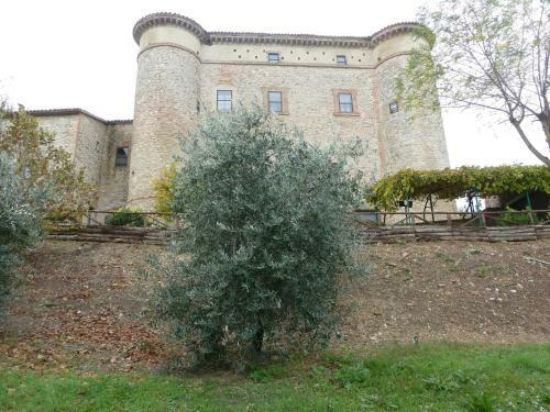 Agroturismo La Fortezza Alta