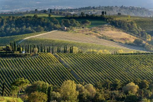 Apartamento La Casa Delle Querce