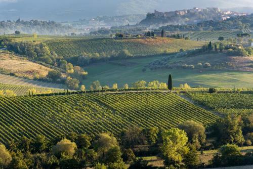 Apartamento La Casa Delle Querce