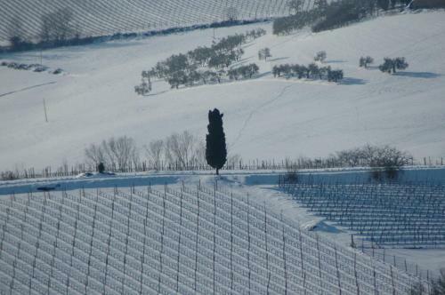 Apartamento La Casa Delle Querce