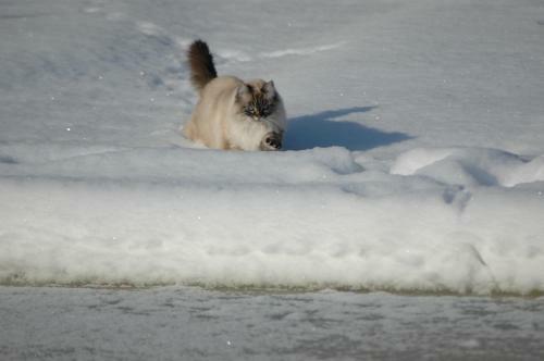 Apartamento La Casa Delle Querce