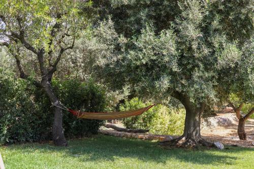 Cozzana Villa Sleeps 6 With Pool And Air Con