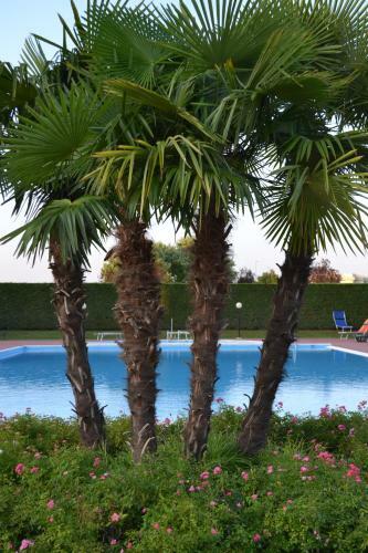 Apartamento Case Da Anna - Cascinale - Lago Di Garda