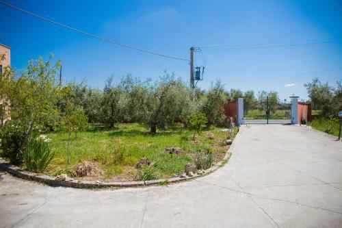 Bed & Breakfast Agriturismo Biologico Piccapane